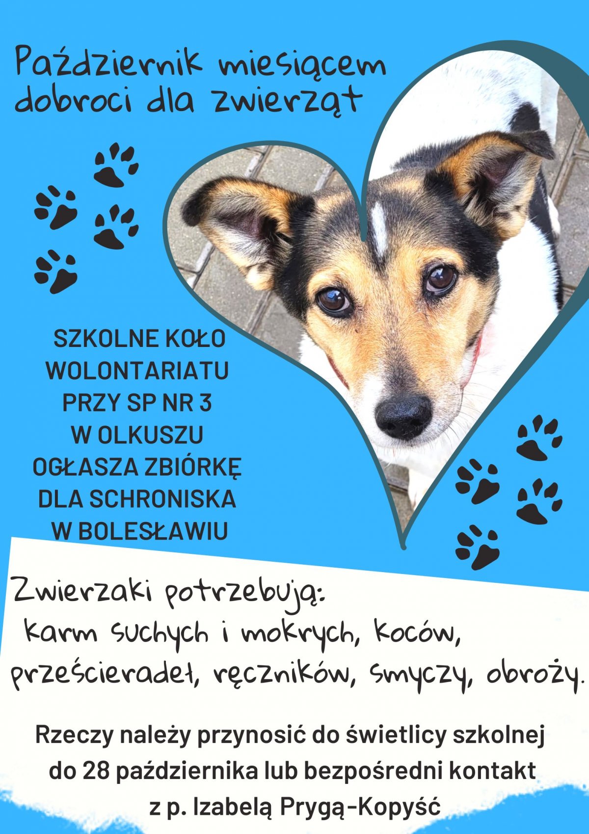 Pa dziernik Miesi cem Dobroci Dla Zwierz t Czytaj Ca o 